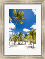 Southern Cross Club, Little Cayman, Cayman Islands, Caribbean Fine Art Print