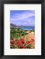 Orient Bay and pink flowers, St Martin, Caribbean Fine Art Print