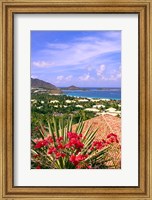Orient Bay and pink flowers, St Martin, Caribbean Fine Art Print
