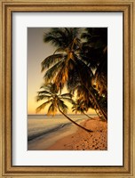 Beach at Sunset, Trinidad, Caribbean Fine Art Print