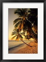 Beach at Sunset, Trinidad, Caribbean Fine Art Print