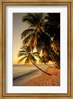 Beach at Sunset, Trinidad, Caribbean Fine Art Print