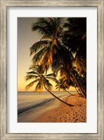 Beach at Sunset, Trinidad, Caribbean Fine Art Print