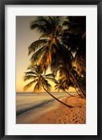 Beach at Sunset, Trinidad, Caribbean Framed Print
