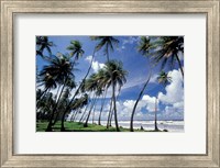 View of Manzanilla Bay, Port of Spain, Trinidad, Caribbean Fine Art Print