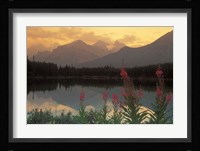 Alberta, Banff, Lake Herbert, Canadian Rockies Fine Art Print