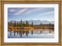 Canada, Alberta, Jasper National Park Scenic of Cottonwood Slough Fine Art Print