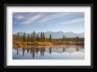 Canada, Alberta, Jasper National Park Scenic of Cottonwood Slough Framed Print