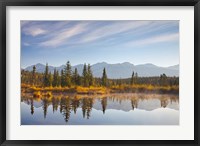 Canada, Alberta, Jasper National Park Scenic of Cottonwood Slough Fine Art Print