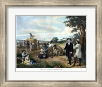 George Washington On His Farm Fine Art Print
