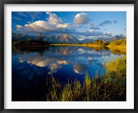 Maskinonge Lake, Wateron Lakes National Park, Alberta, Canada Framed Print