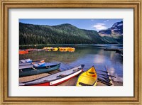 Cameron Creek, Wateron Lakes National Park, Alberta, Canada Fine Art Print