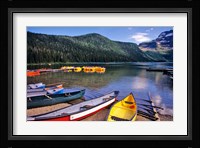 Cameron Creek, Wateron Lakes National Park, Alberta, Canada Fine Art Print
