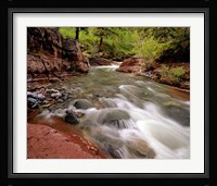 Lost Horse Creek, Wateron Lakes National Park, Alberta, Canada Fine Art Print