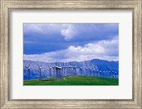 Windmills at Pincher Creek, Alberta, Canada Fine Art Print