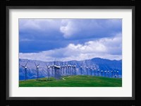 Windmills at Pincher Creek, Alberta, Canada Fine Art Print