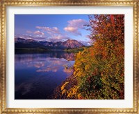 Maskinonge Lake with mountains in the background, Waterton Lakes National Park, Alberta Fine Art Print