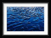 Waves patterns, Waterton Lakes National Park, Alberta Fine Art Print