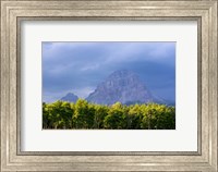Crowsnest Mountain at Crownest Pass in Alberta, Canada Fine Art Print
