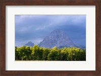 Crowsnest Mountain at Crownest Pass in Alberta, Canada Fine Art Print