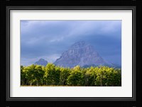 Crowsnest Mountain at Crownest Pass in Alberta, Canada Fine Art Print