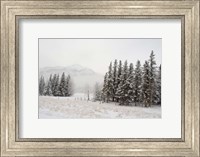 Winter Views from Train, Alberta, Canada Fine Art Print