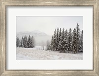 Winter Views from Train, Alberta, Canada Fine Art Print