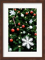 Christmas decorations on tree Fine Art Print
