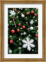 Christmas decorations on tree Fine Art Print