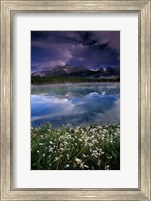 Alberta, Banff National Park Lake Maligne wildflowers Fine Art Print