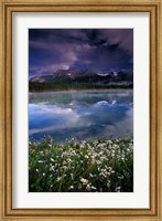 Alberta, Banff National Park Lake Maligne wildflowers Fine Art Print