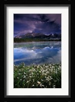 Alberta, Banff National Park Lake Maligne wildflowers Fine Art Print