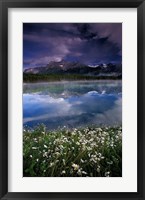 Alberta, Banff National Park Lake Maligne wildflowers Fine Art Print