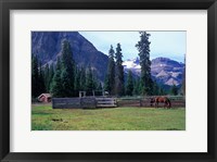 Log Cabin, Horse and Corral, Banff National Park, Alberta, Canada Fine Art Print