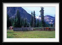 Log Cabin, Horse and Corral, Banff National Park, Alberta, Canada Fine Art Print