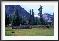 Log Cabin, Horse and Corral, Banff National Park, Alberta, Canada Fine Art Print