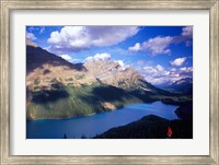 Hiker Overlooking Peyto Lake, Banff National Park, Alberta, Canada Fine Art Print