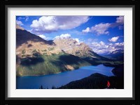 Hiker Overlooking Peyto Lake, Banff National Park, Alberta, Canada Fine Art Print