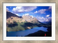 Hiker Overlooking Peyto Lake, Banff National Park, Alberta, Canada Fine Art Print