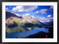 Hiker Overlooking Peyto Lake, Banff National Park, Alberta, Canada Fine Art Print