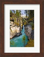Athabasca Falls, Jasper National Park, Alberta, Canada Fine Art Print