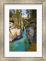 Athabasca Falls, Jasper National Park, Alberta, Canada Fine Art Print