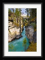 Athabasca Falls, Jasper National Park, Alberta, Canada Fine Art Print