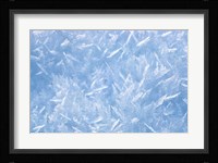 Detail of Winter Snow Fine Art Print