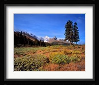 Landscape with Mt Saskatchewan, Banff NP, Alberta Fine Art Print