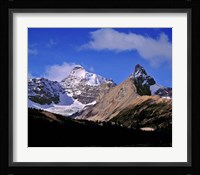 Alberta, Mt Saskatchewan, Banff NP Fine Art Print