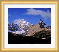 Alberta, Mt Saskatchewan, Banff NP Fine Art Print