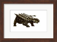 An armored Saichania ankylosaurid, white background Fine Art Print