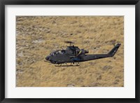 An AH-1F Tzefa of the Israeli Air Force flying over Israel Fine Art Print