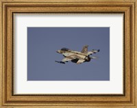 An F-16D Barak of the Israeli Air Force flying over Israel Fine Art Print